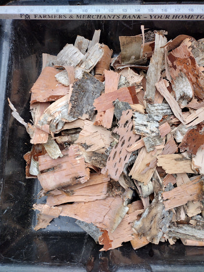 BIRCH BARK PIECES, Sustain Harvest, VARIOUS SIZES, Craft, Fire Starter, DIY ~8oz