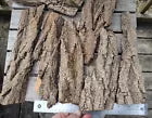 Arts and Crafts DIY Taxidermy supplies Tree Bark Display From Black Locust ~2lb