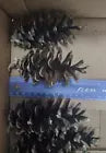 7 Real Pinecones Eastern White Pine Cones Natural Fresh Craft Supplies 5~7.5"