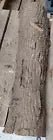 14" Shagbark Hickory Tree Bark Sheet Pyrography Nature Crafts Curvy 3+"W DIY