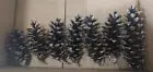 7 Real Pinecones Eastern White Pine Cones Natural Fresh Craft Supplies 5~7.5"