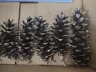 7 Real Pinecones Eastern White Pine Cones Natural Fresh Craft Supplies 5~7.5"