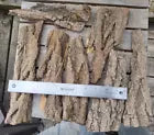 Arts and Crafts DIY Taxidermy supplies Tree Bark Display From Black Locust ~2lb